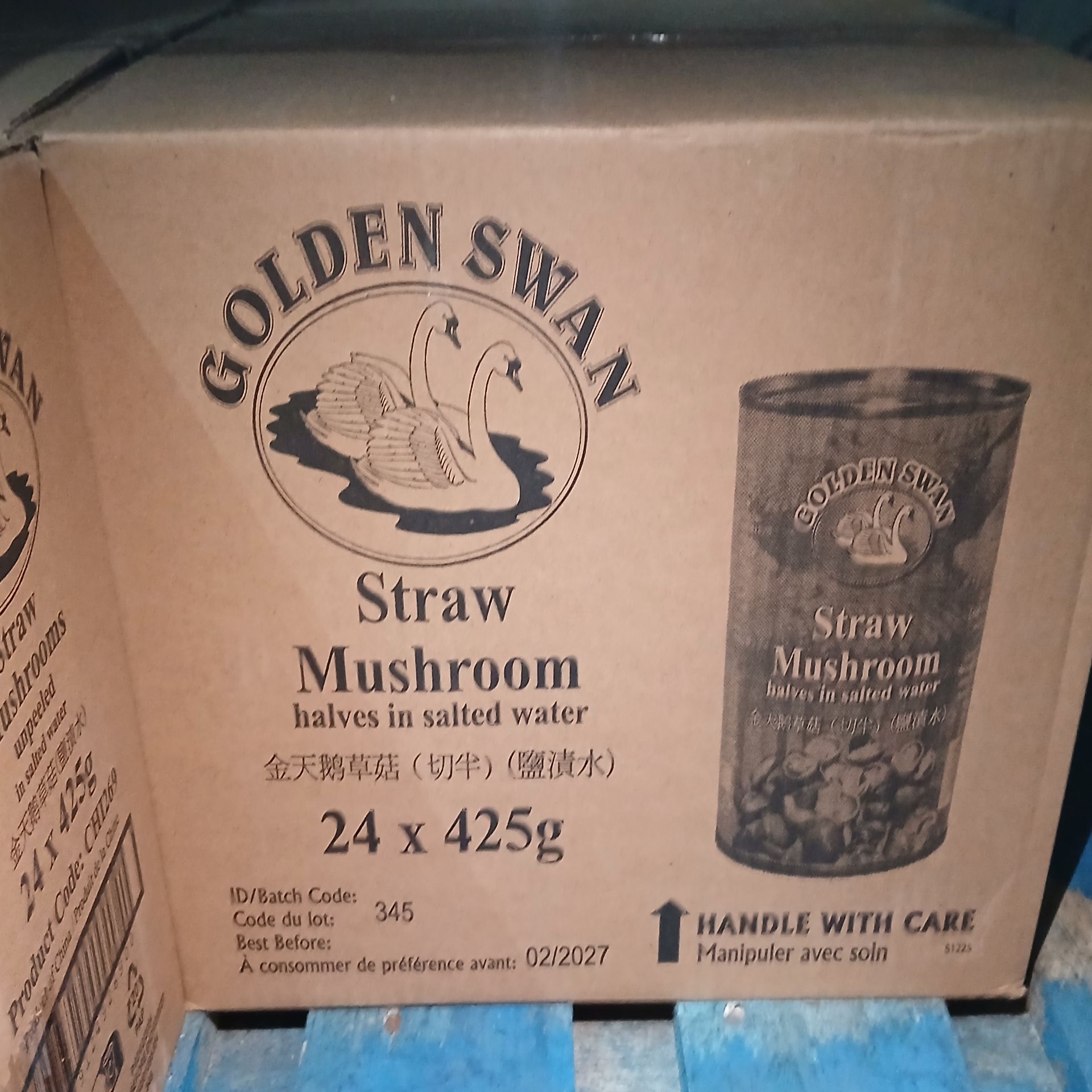 Golden Swan Straw Mushroom 2