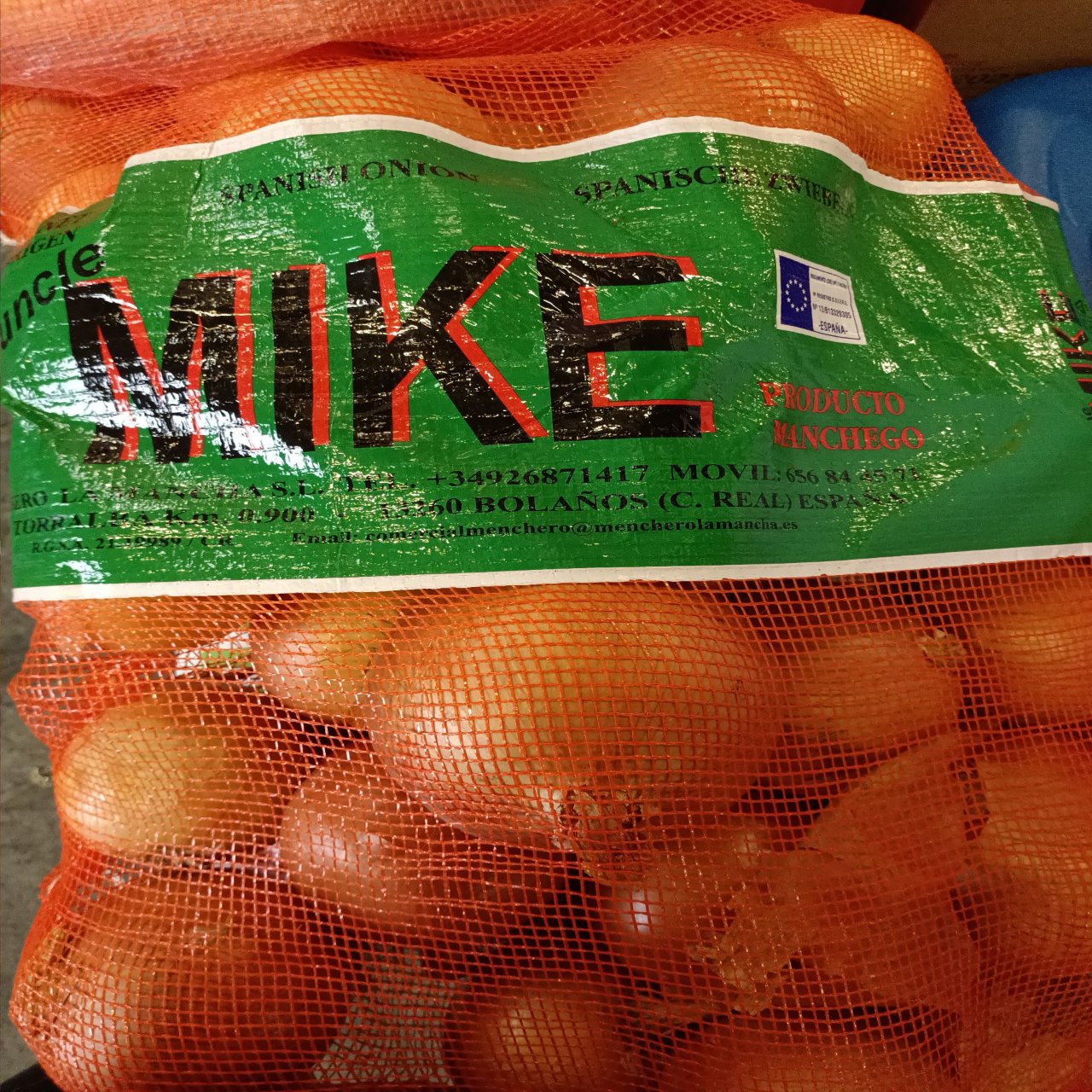 Spanish Onion