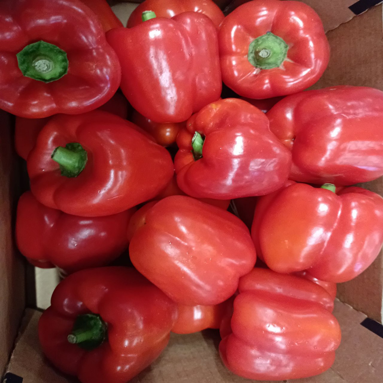 Red Peppers