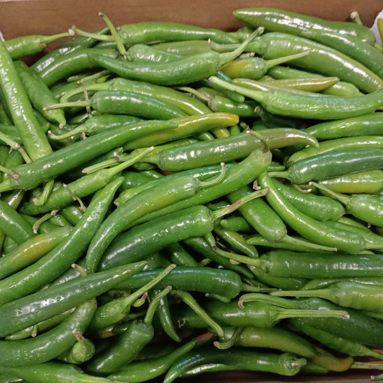 Chillies Green