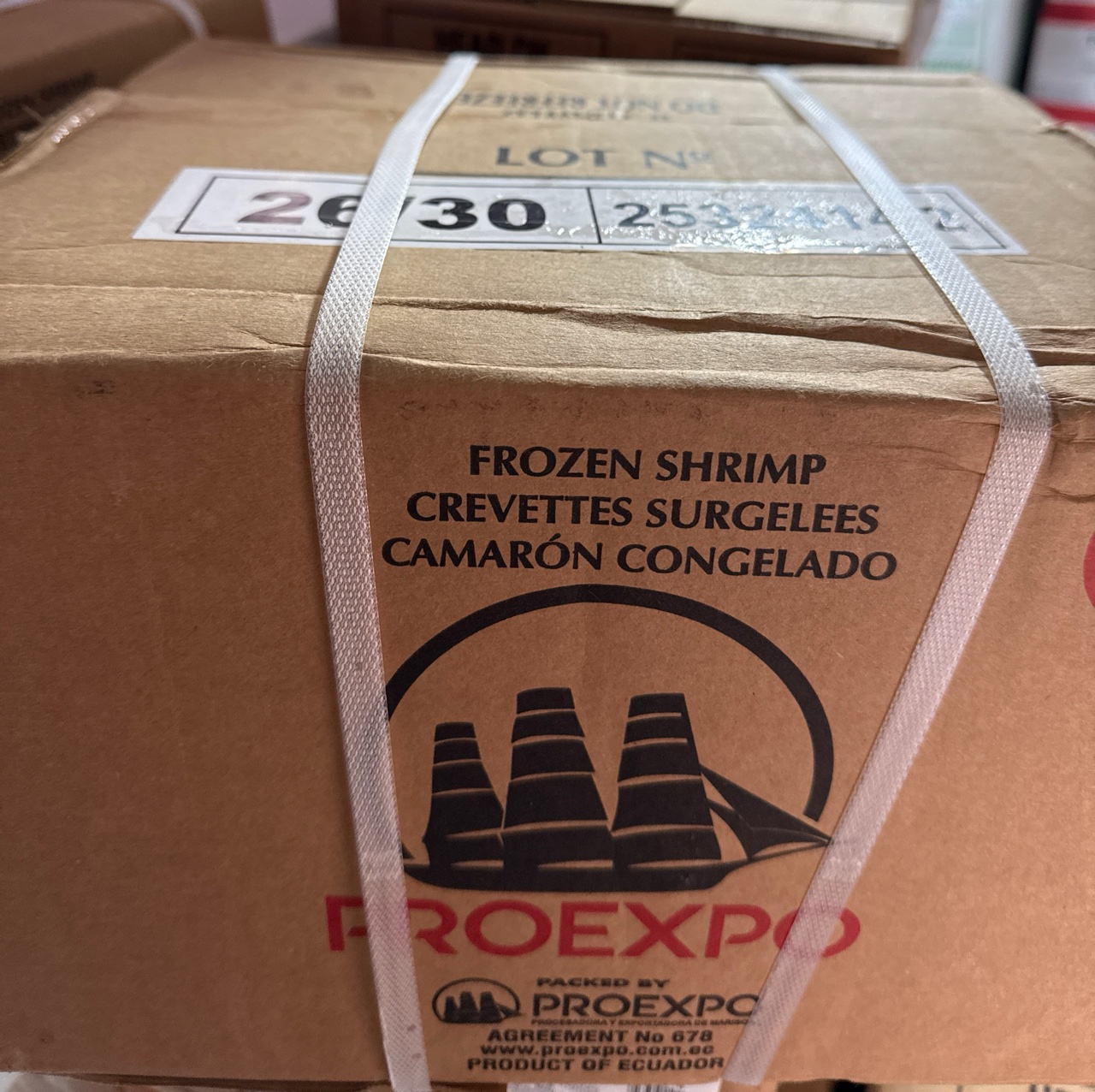 Proexpo Prawn 26/30