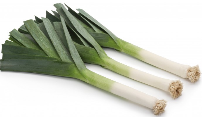 Leek