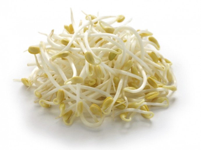 Long Live Bean Sprout
