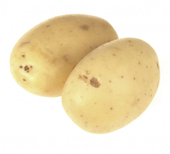 Potato