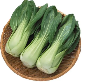 Shanghai Bok Choi