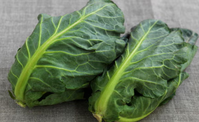 Spring Cabbage