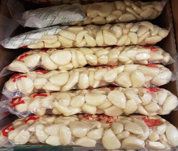 Fresh Garlic 2