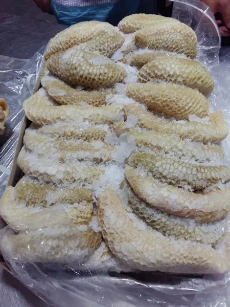 Honeycomb Beef Tripe