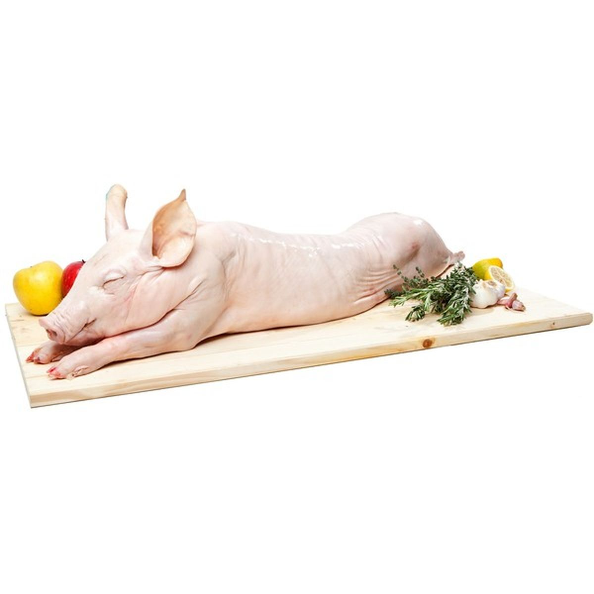 Piglet 5-