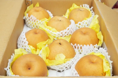 Chinese Pear