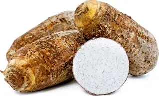 Taro Large