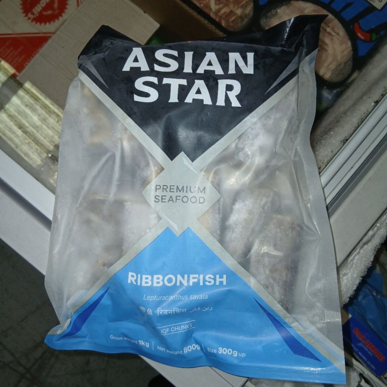 Asian Star Ribbon Fish