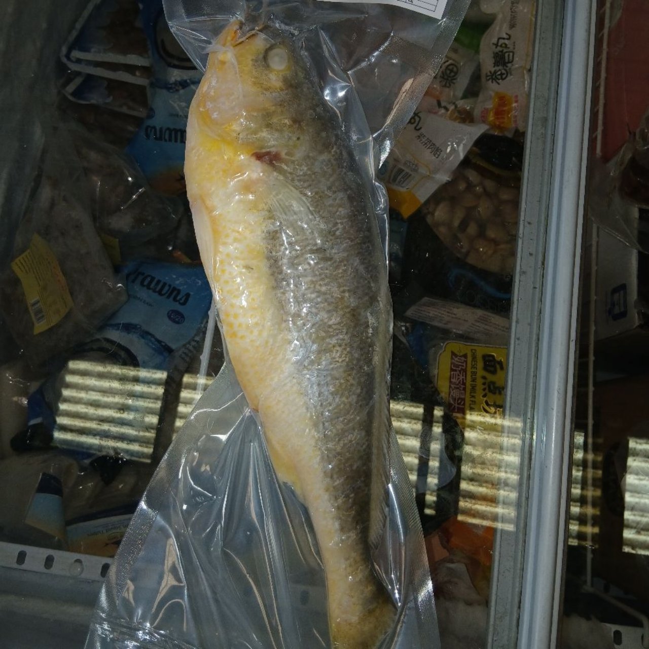 Hs Yellow Croaker 500-700g