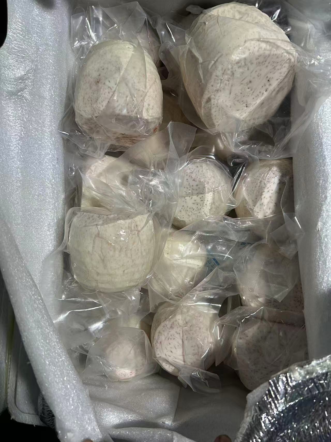 Frozen Toro