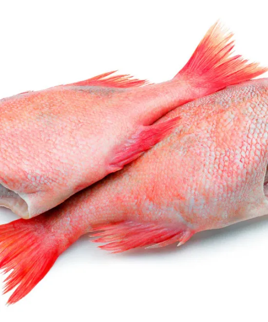Frozen Red Bream