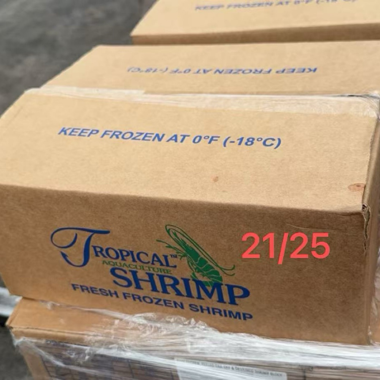 Tropical Shell Off Prawn *6 21/25