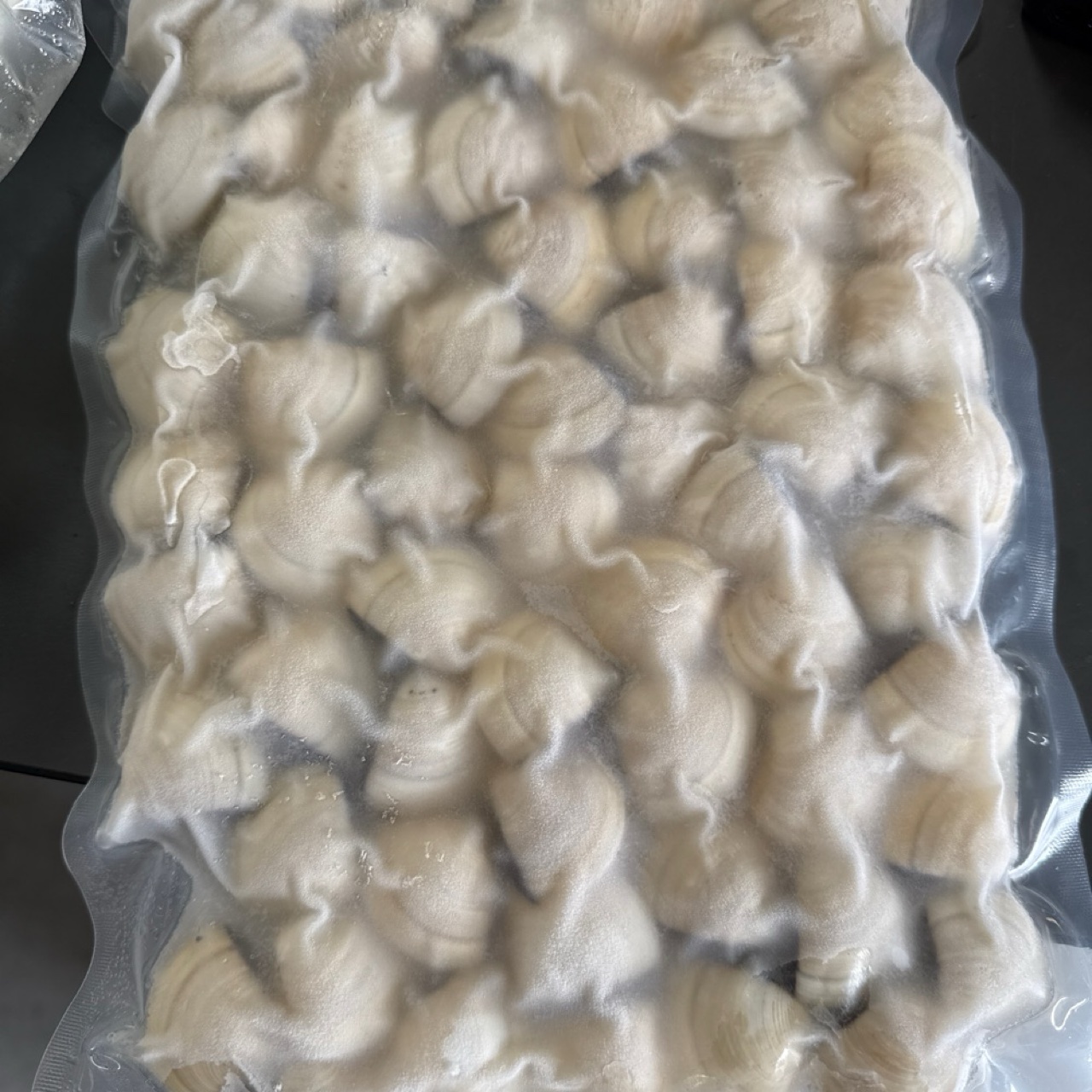 Homles Whole Shell Cooked Clam 1kg