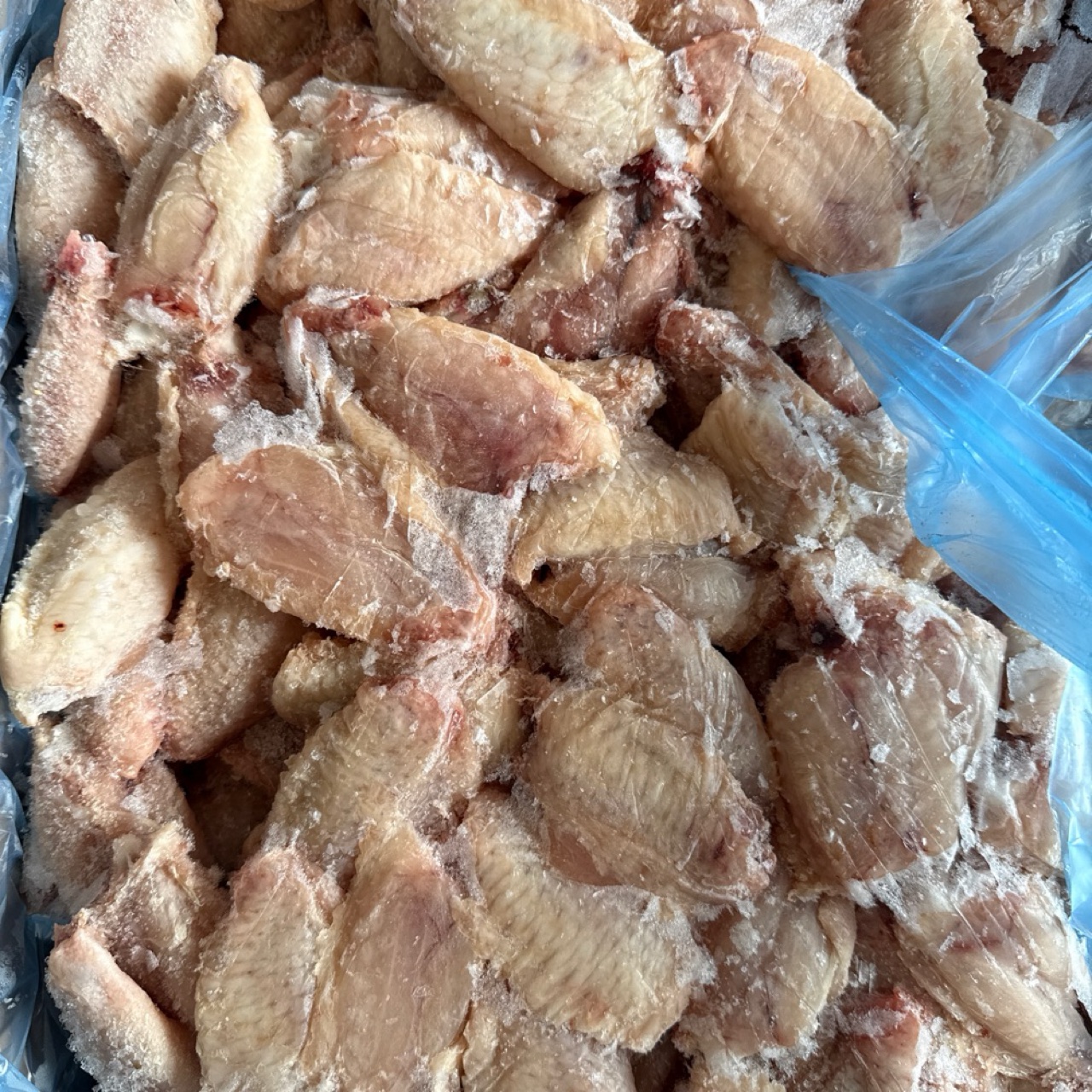 Single Chicken Wing