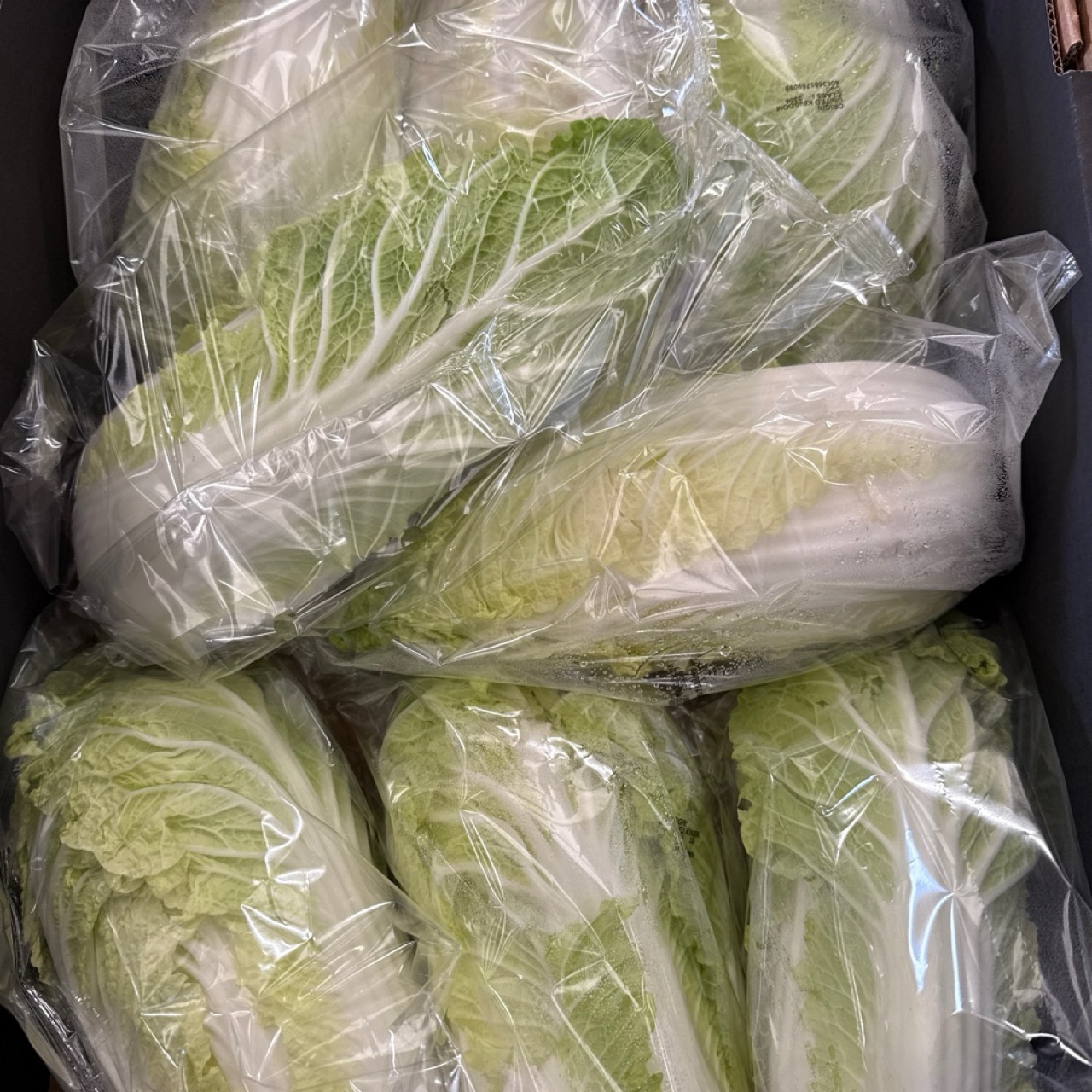 Chinese Leaf /Box