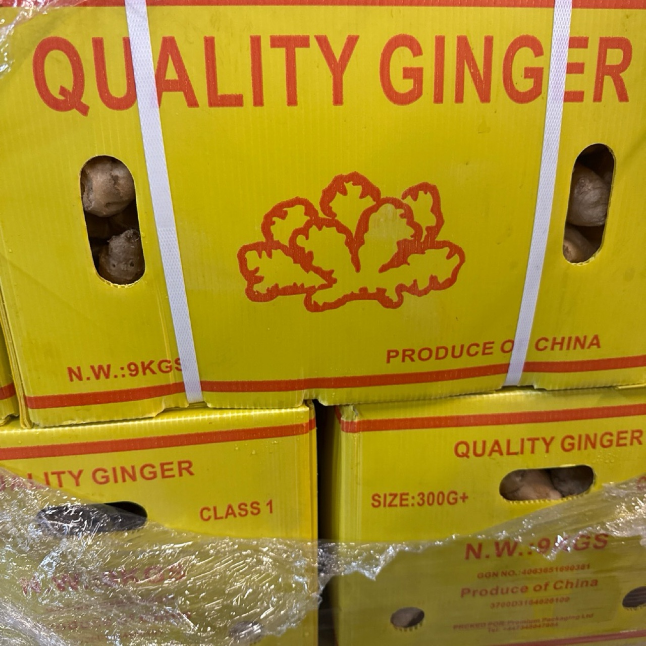 Box Of Fresh Ginger