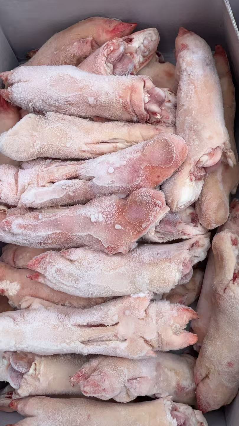 Pig Feet